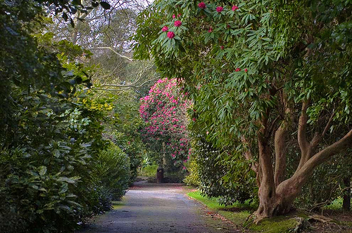 Photo of our lounge area